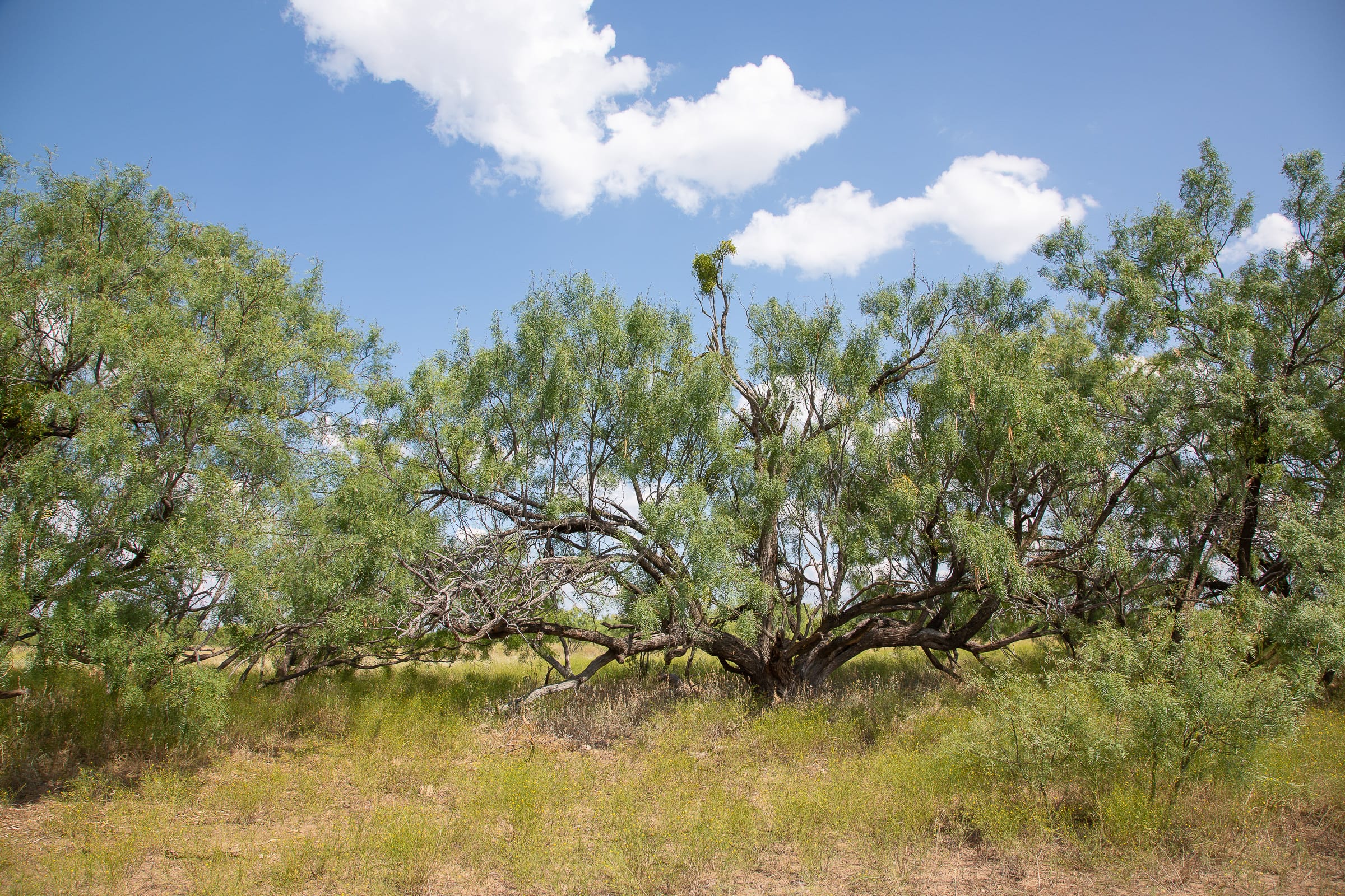 Hunter’s Ranch Tract 16 photo 12