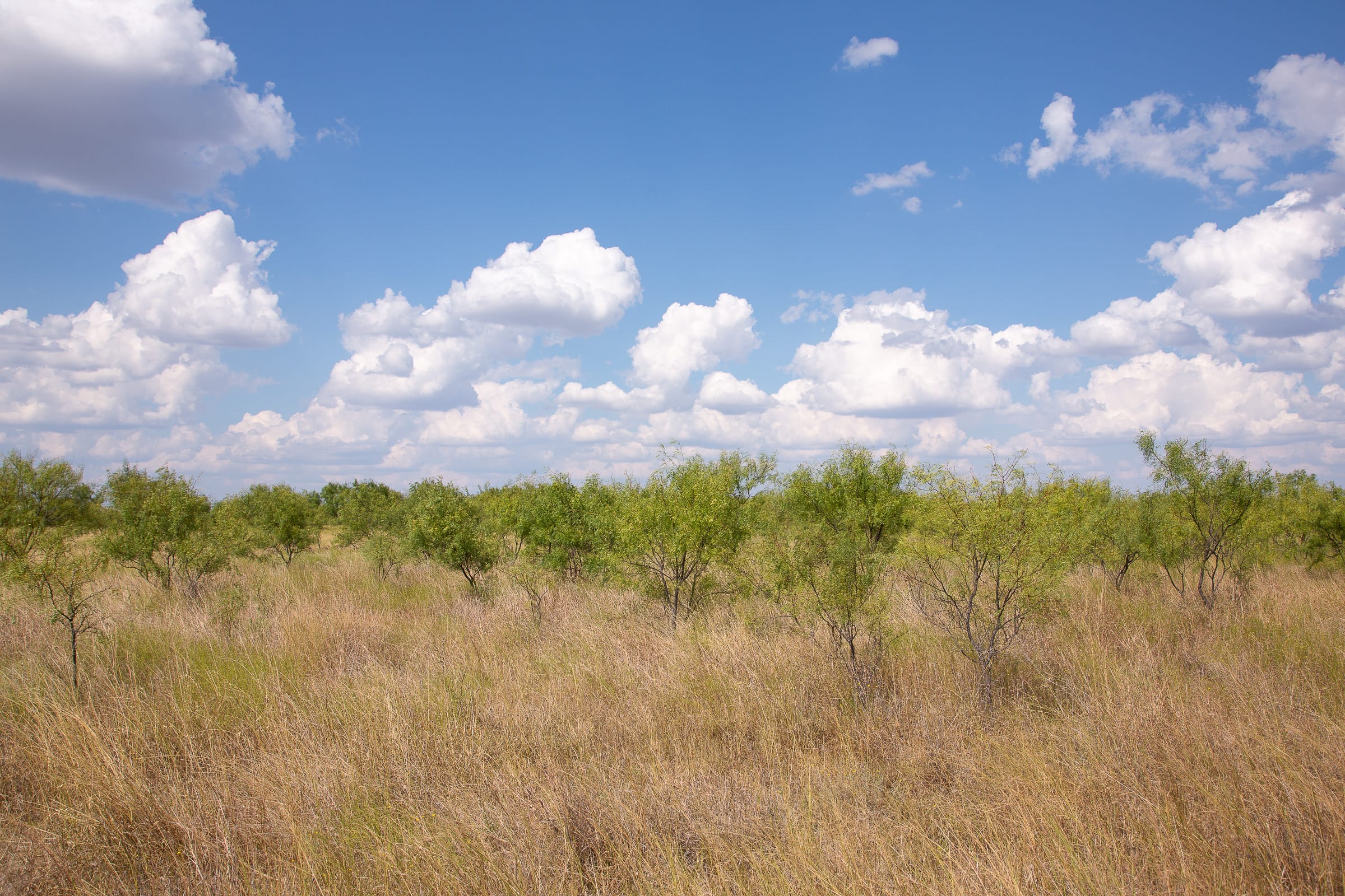 Hunter’s Ranch Tract 16 photo 14
