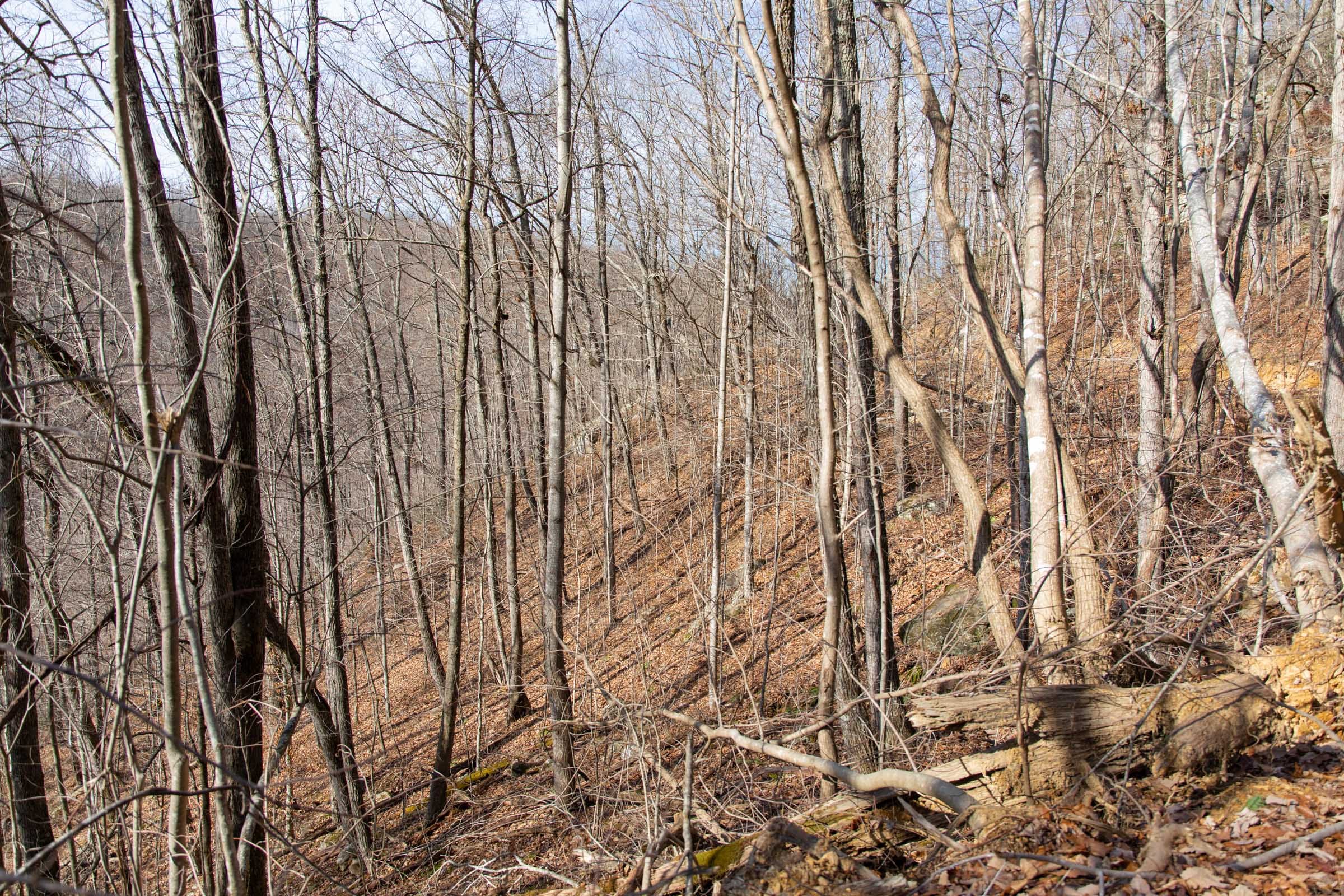 Blackstone Mountain Phase I Tract 35 photo 4