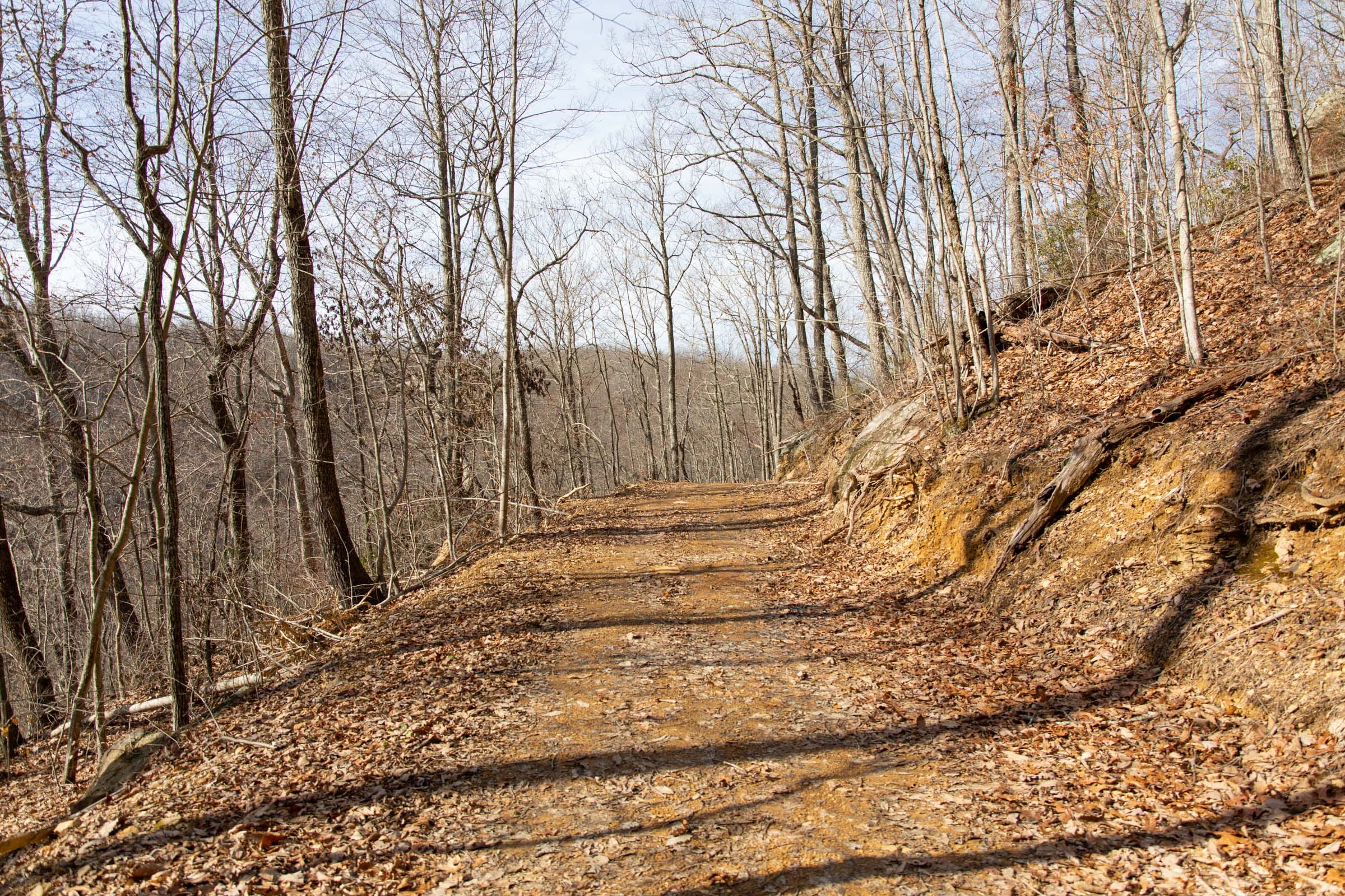 Blackstone Mountain Phase I Tract 35 photo 7