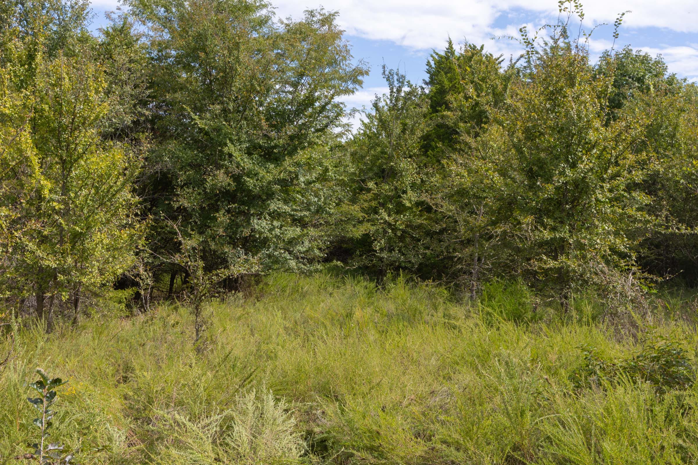 Reserves At Cattail Cove Phase II Tract 52 photo 6
