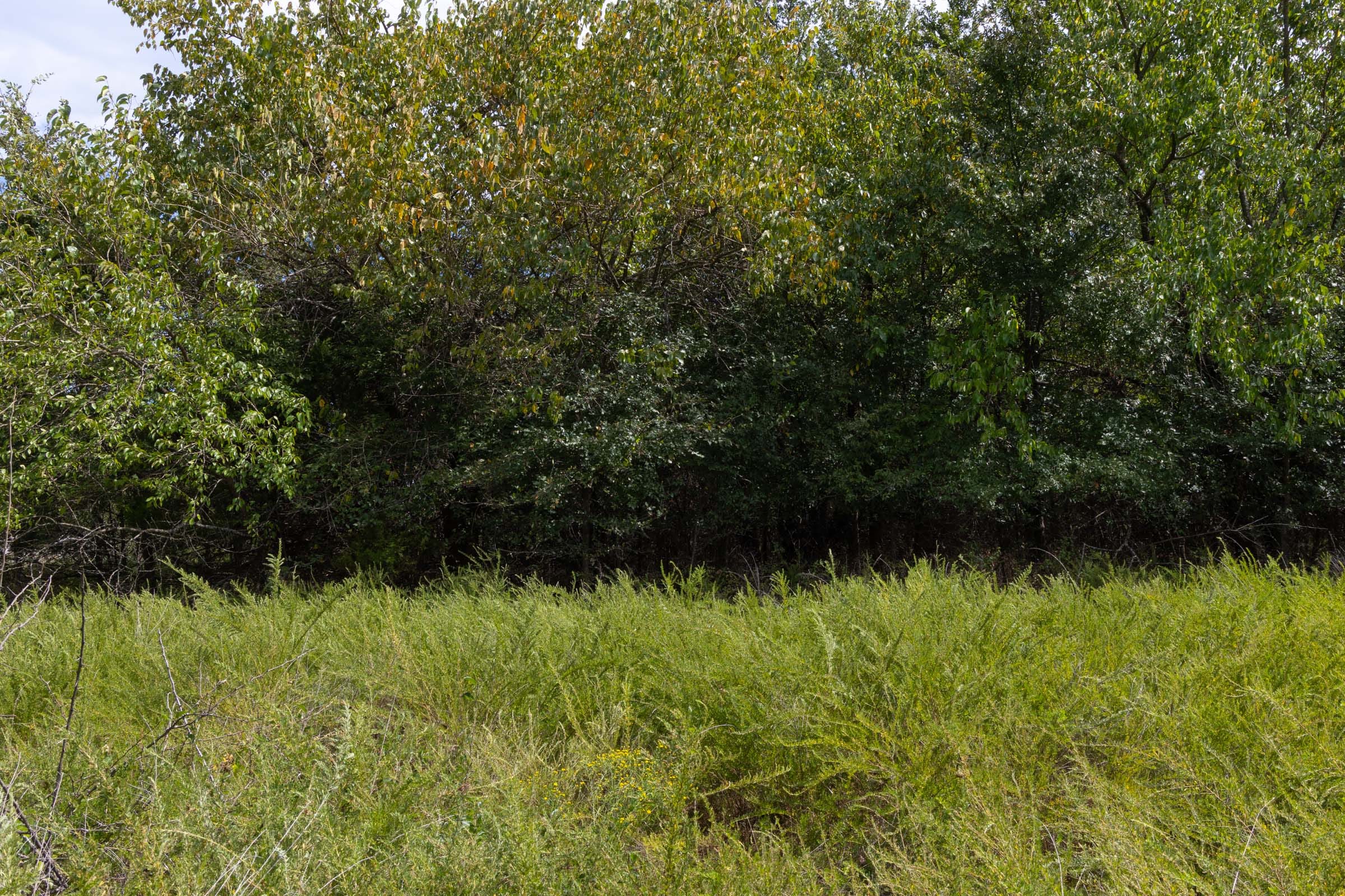 Reserves At Cattail Cove Phase II Tract 52 photo 3