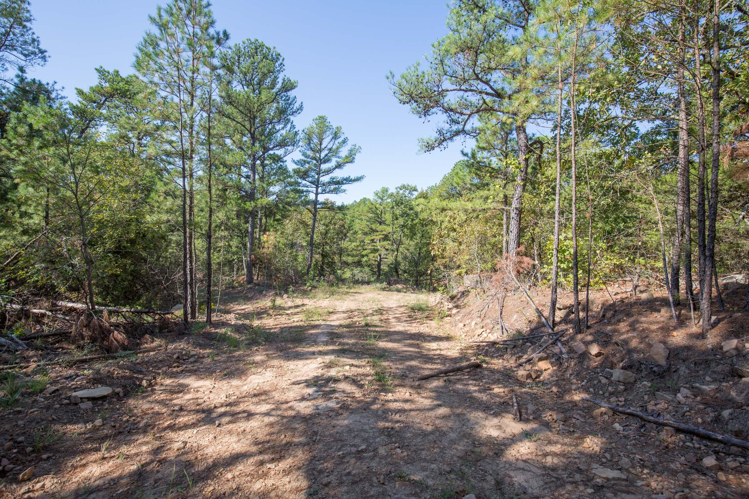 Stone Bridge Phase I Tract 32 photo 1