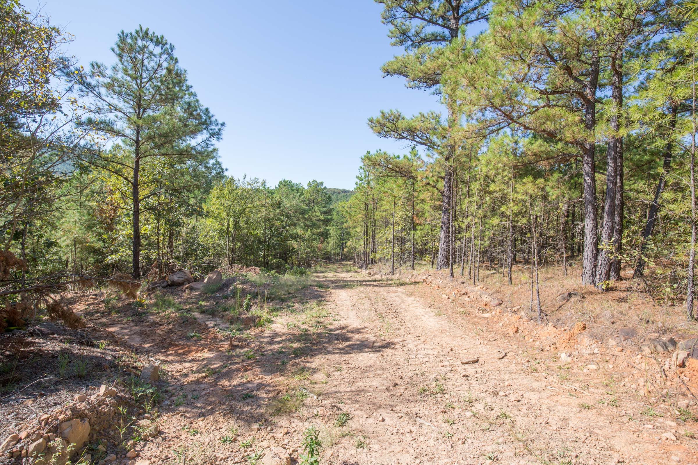 Stone Bridge Phase I Tract 32 photo 8