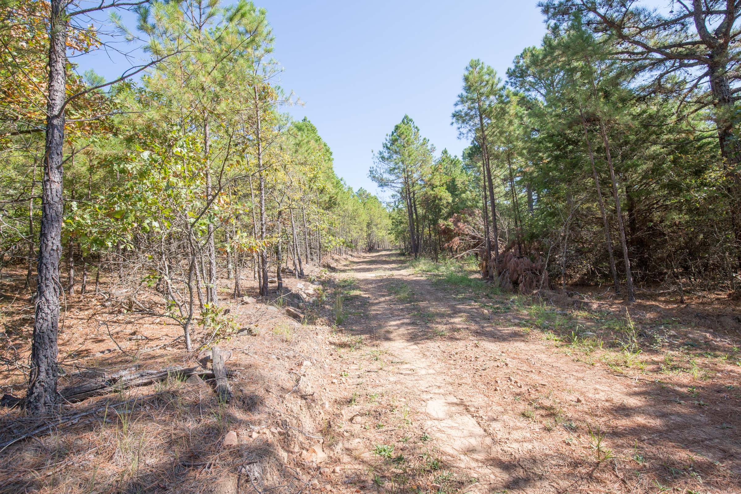 Stone Bridge Phase I Tract 32 photo 11