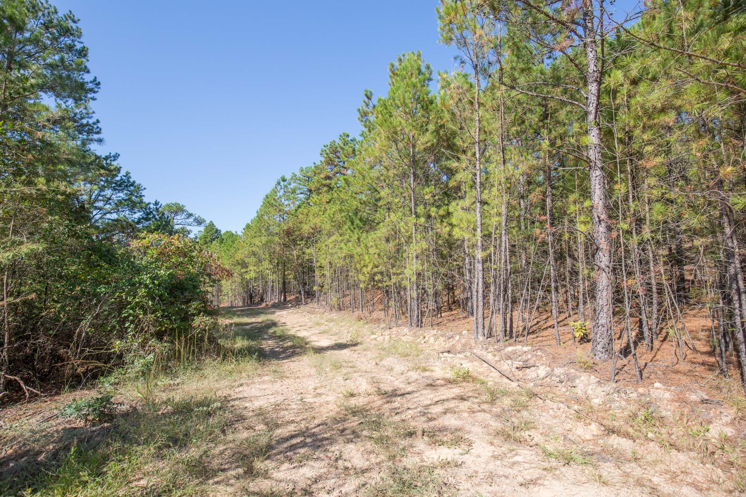 Stone Bridge Phase I Tract 32 photo 12