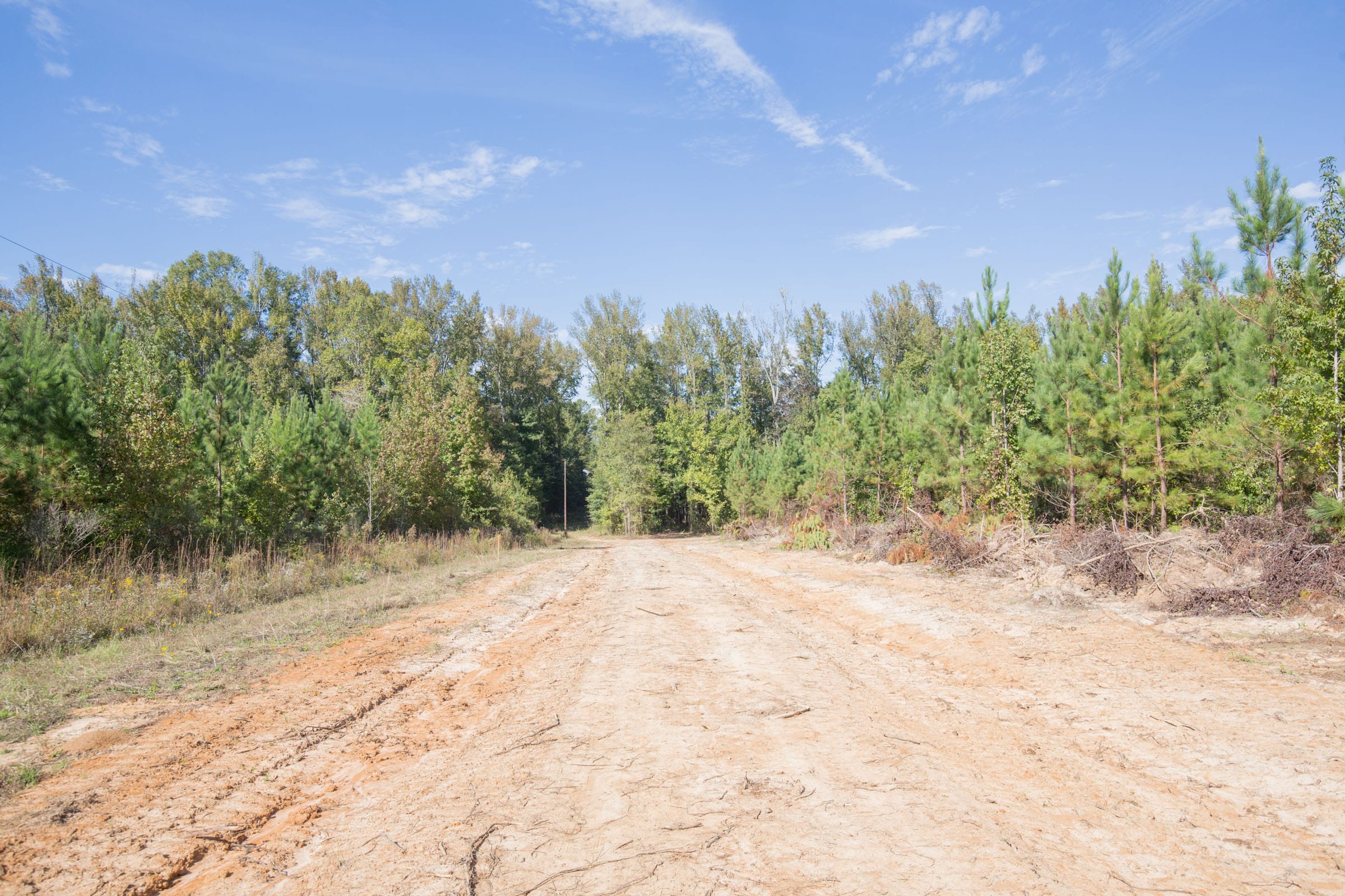 Brentwood Tract 13 photo 5