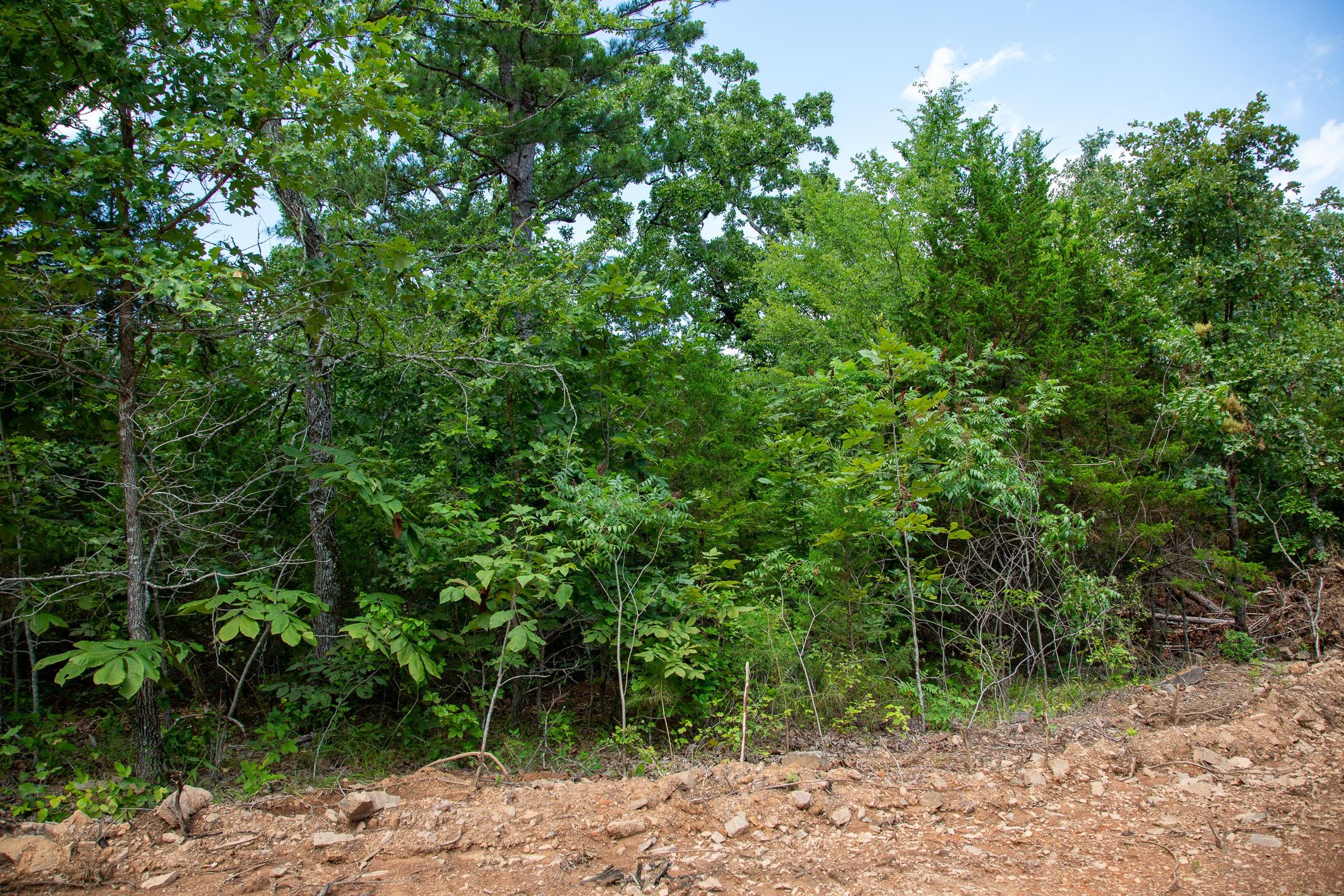 Tyler Stone Ranch Tract 31 photo 2