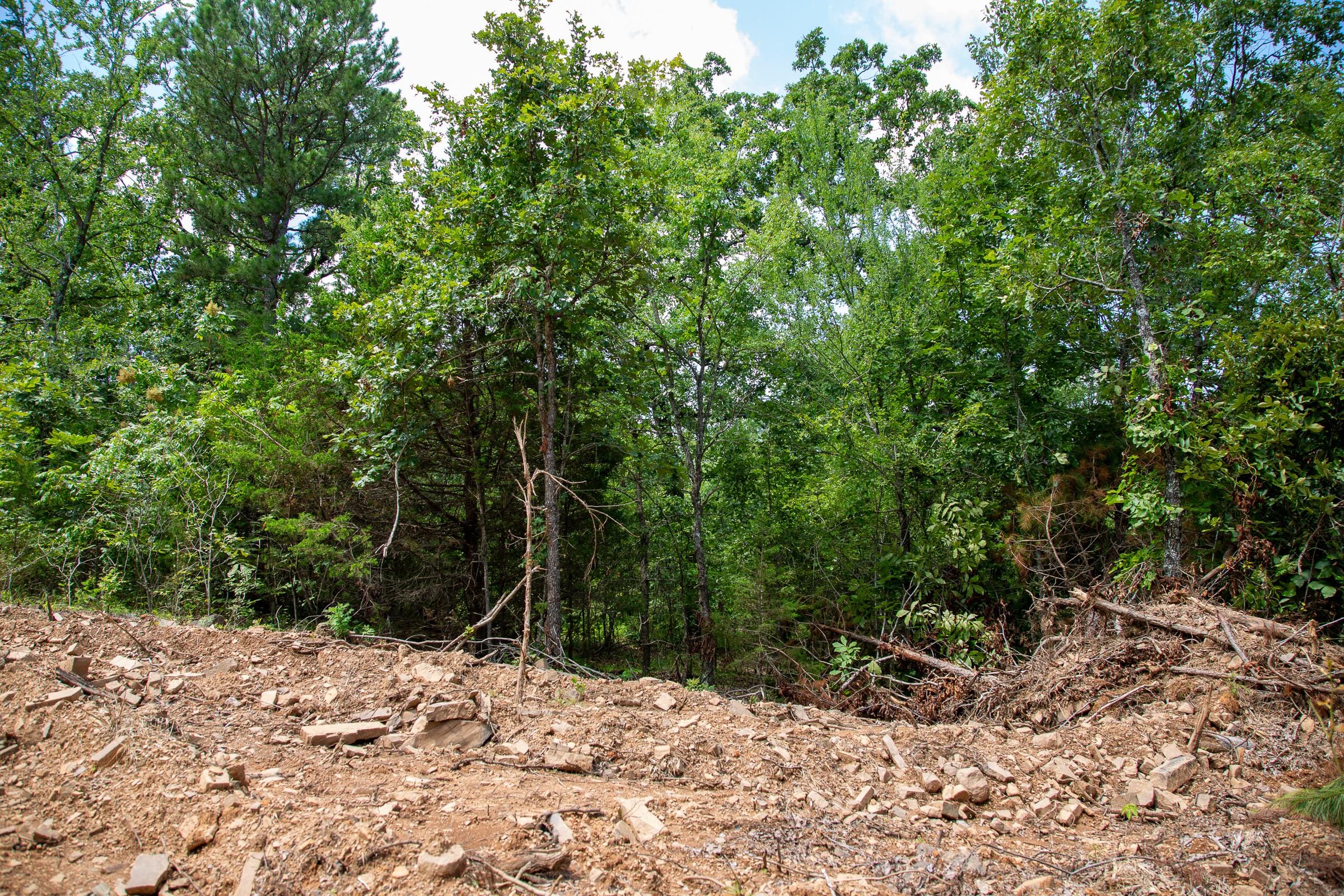 Tyler Stone Ranch Tract 31 photo 3