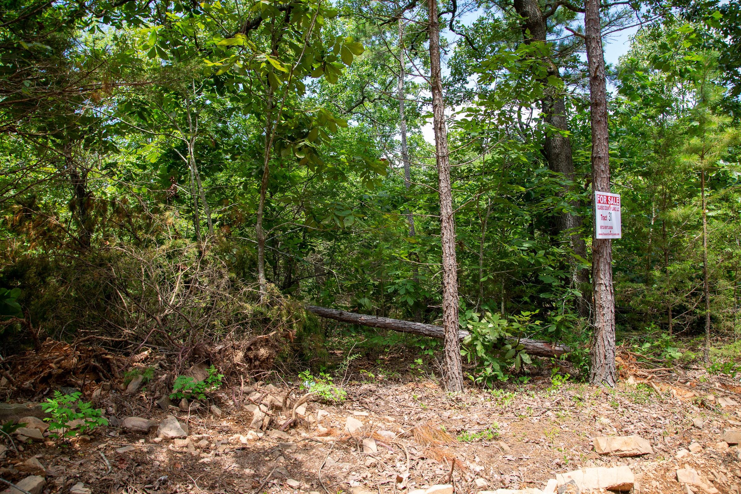 Tyler Stone Ranch Tract 31 photo 4