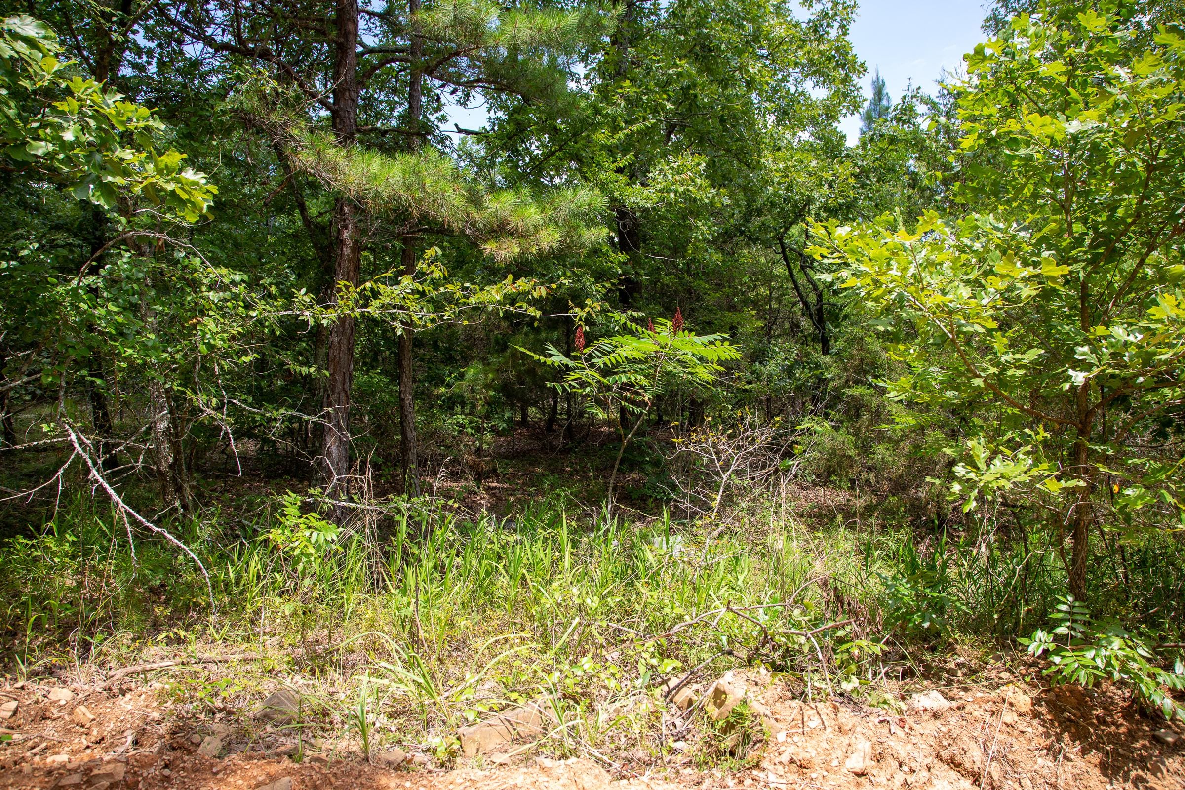 Tyler Stone Ranch Tract 31 photo 6