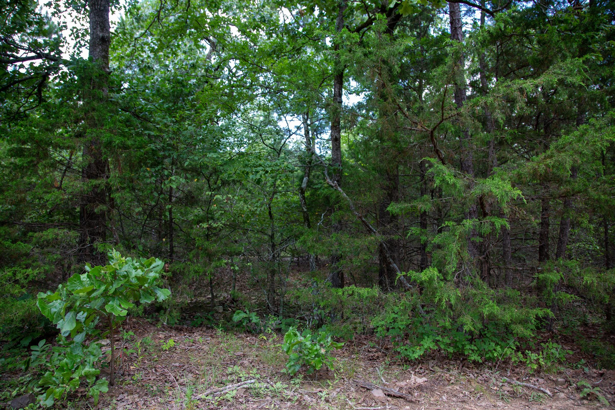 Tyler Stone Ranch Tract 31 photo 8