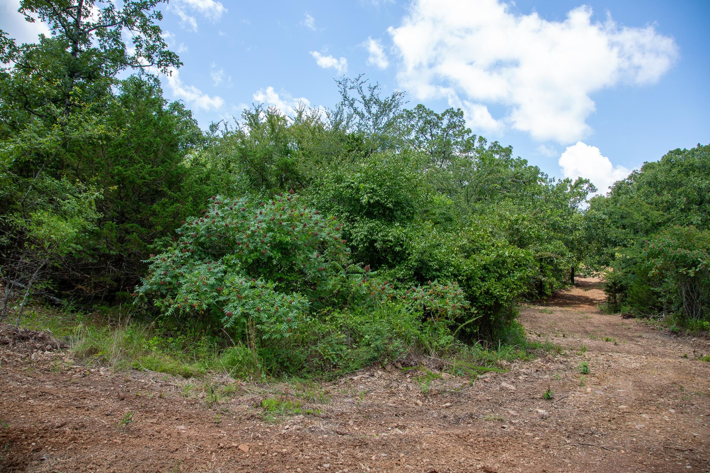Tyler Stone Ranch Tract 31 photo 10