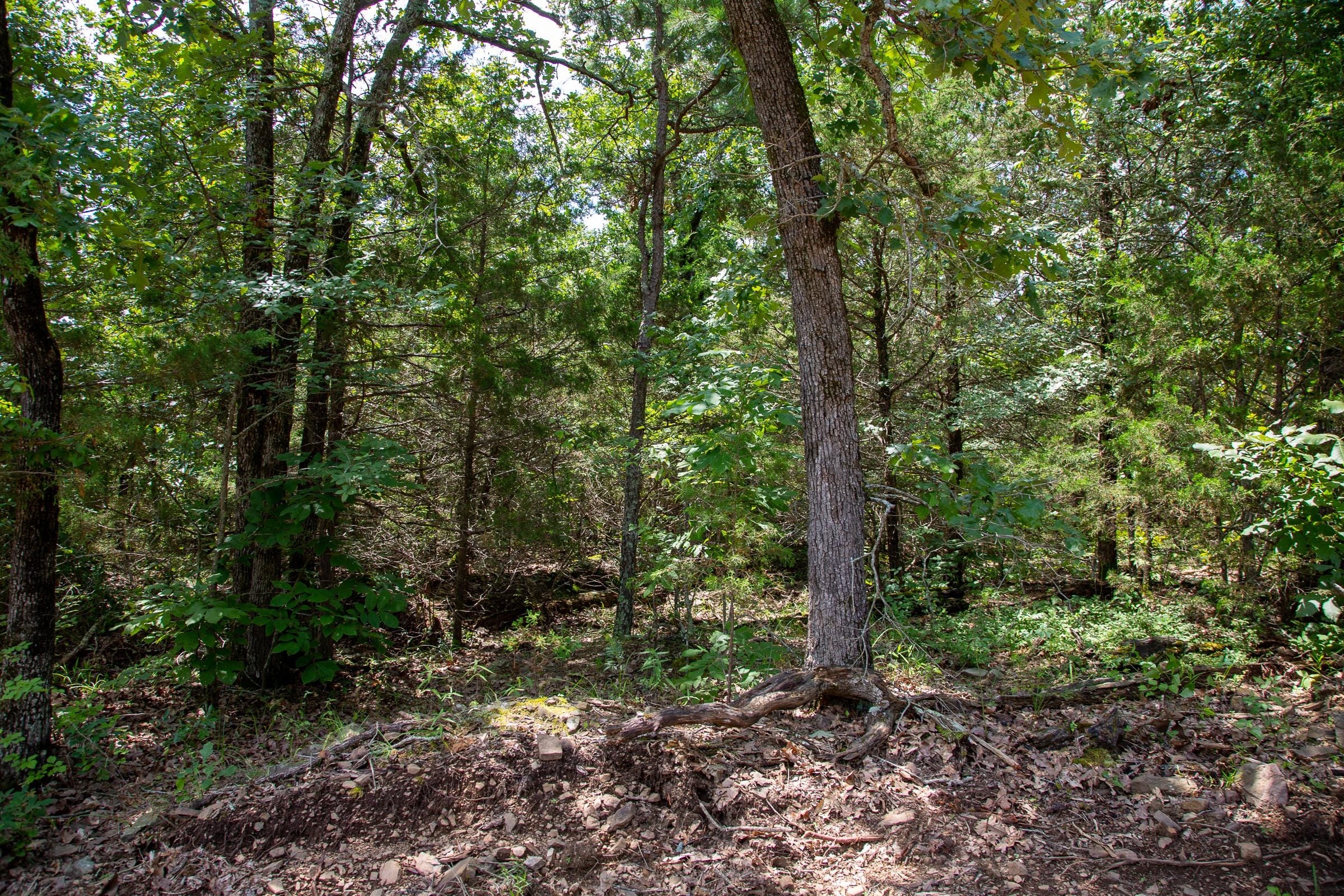 Tyler Stone Ranch Tract 31 photo 11