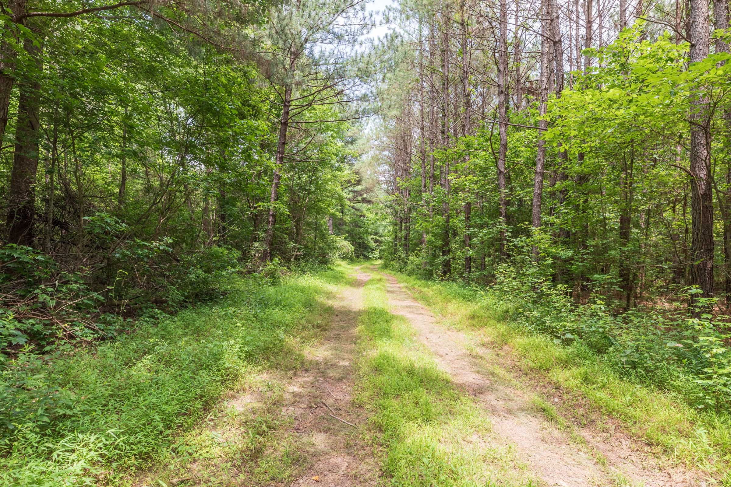 Whiskey Ridge Tract 13 photo 1