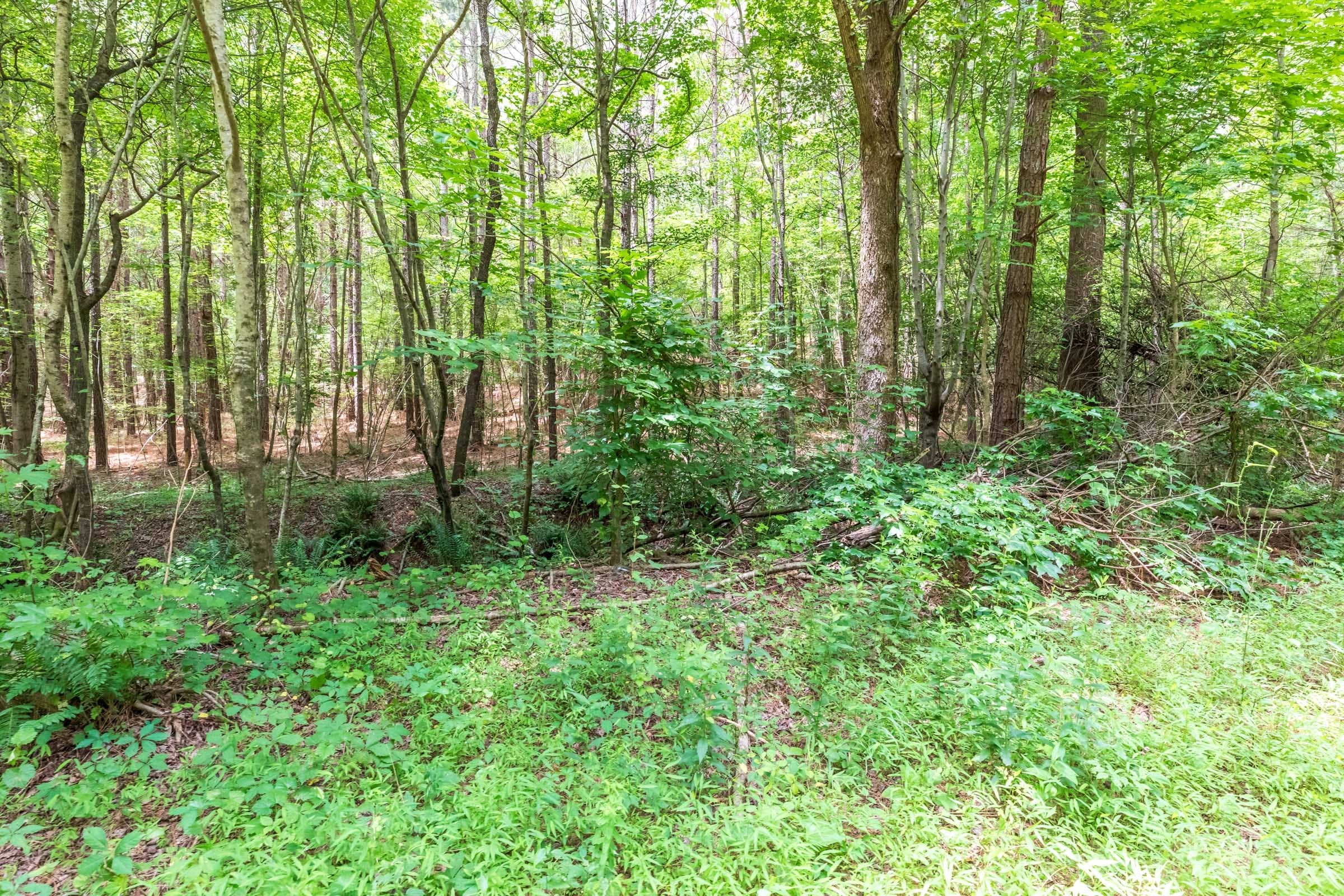 Whiskey Ridge Tract 13 photo 2
