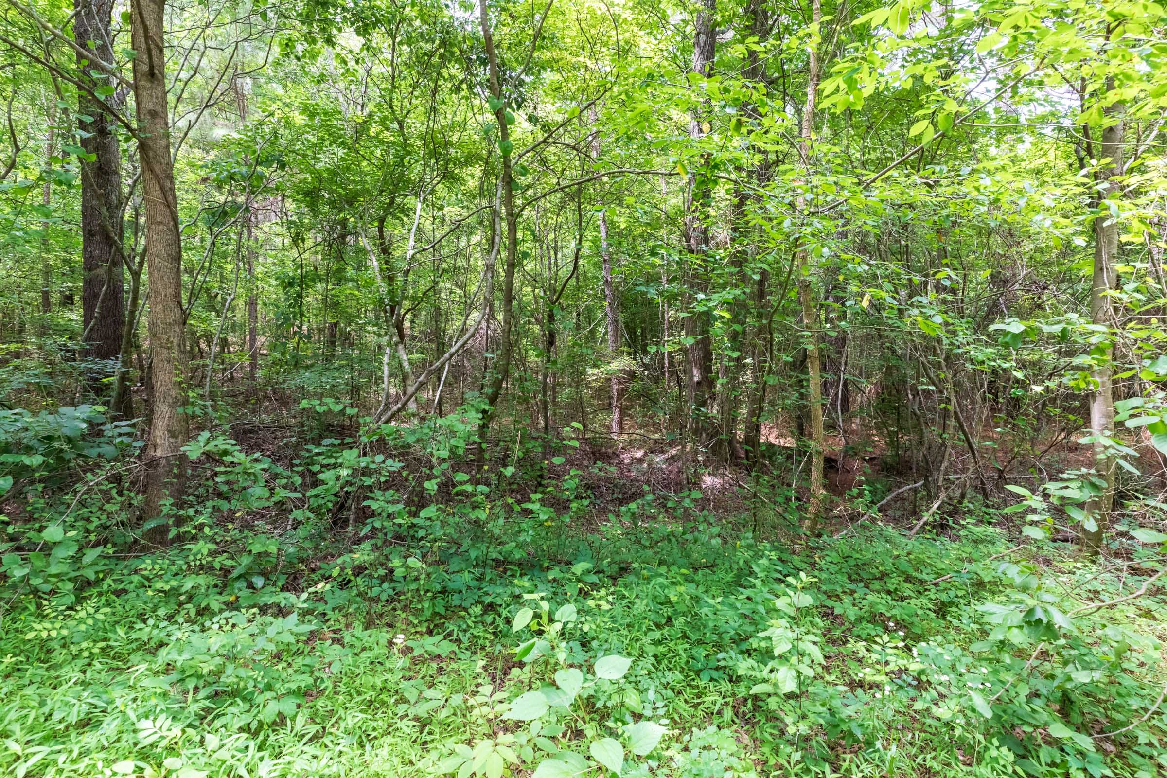 Whiskey Ridge Tract 13 photo 7