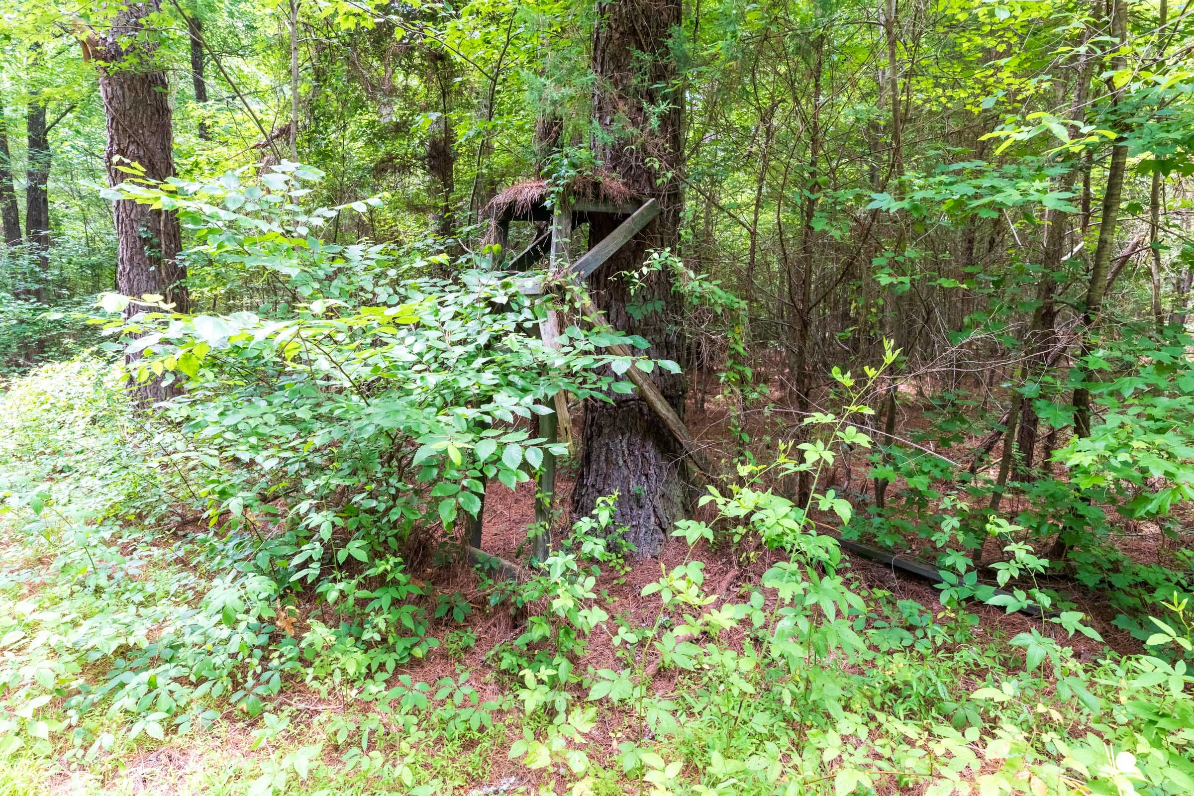 Whiskey Ridge Tract 13 photo 3