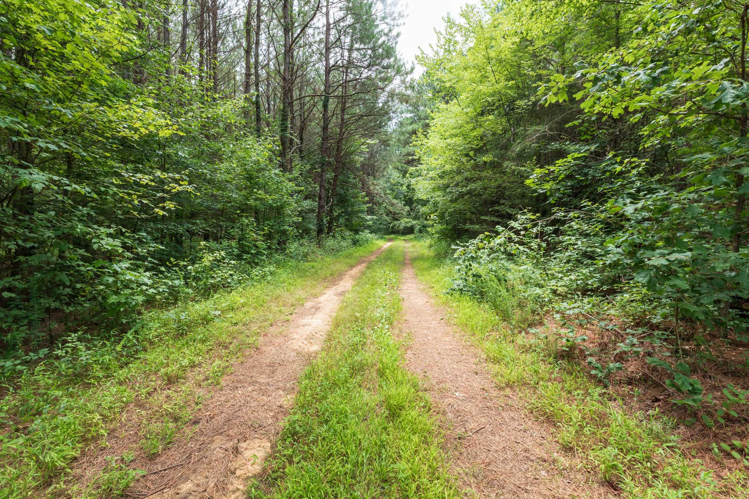 Whiskey Ridge Tract 13 photo 5