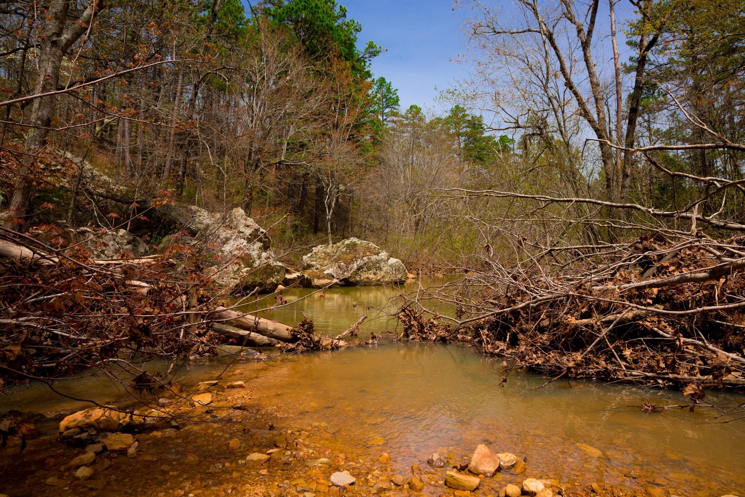 Stone Creek Phase II Tract 211 photo 6