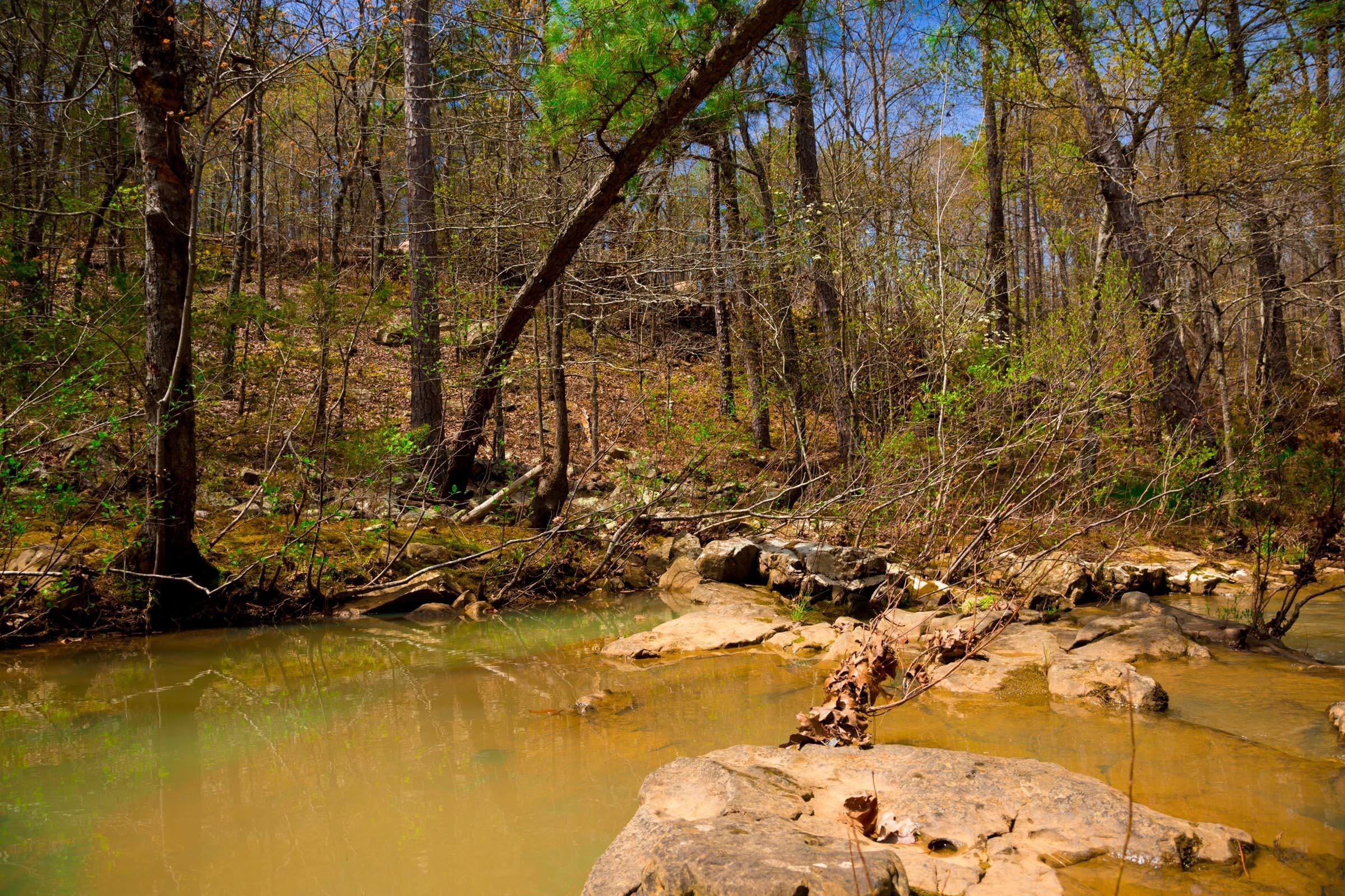 Stone Creek Phase II Tract 211 photo 11