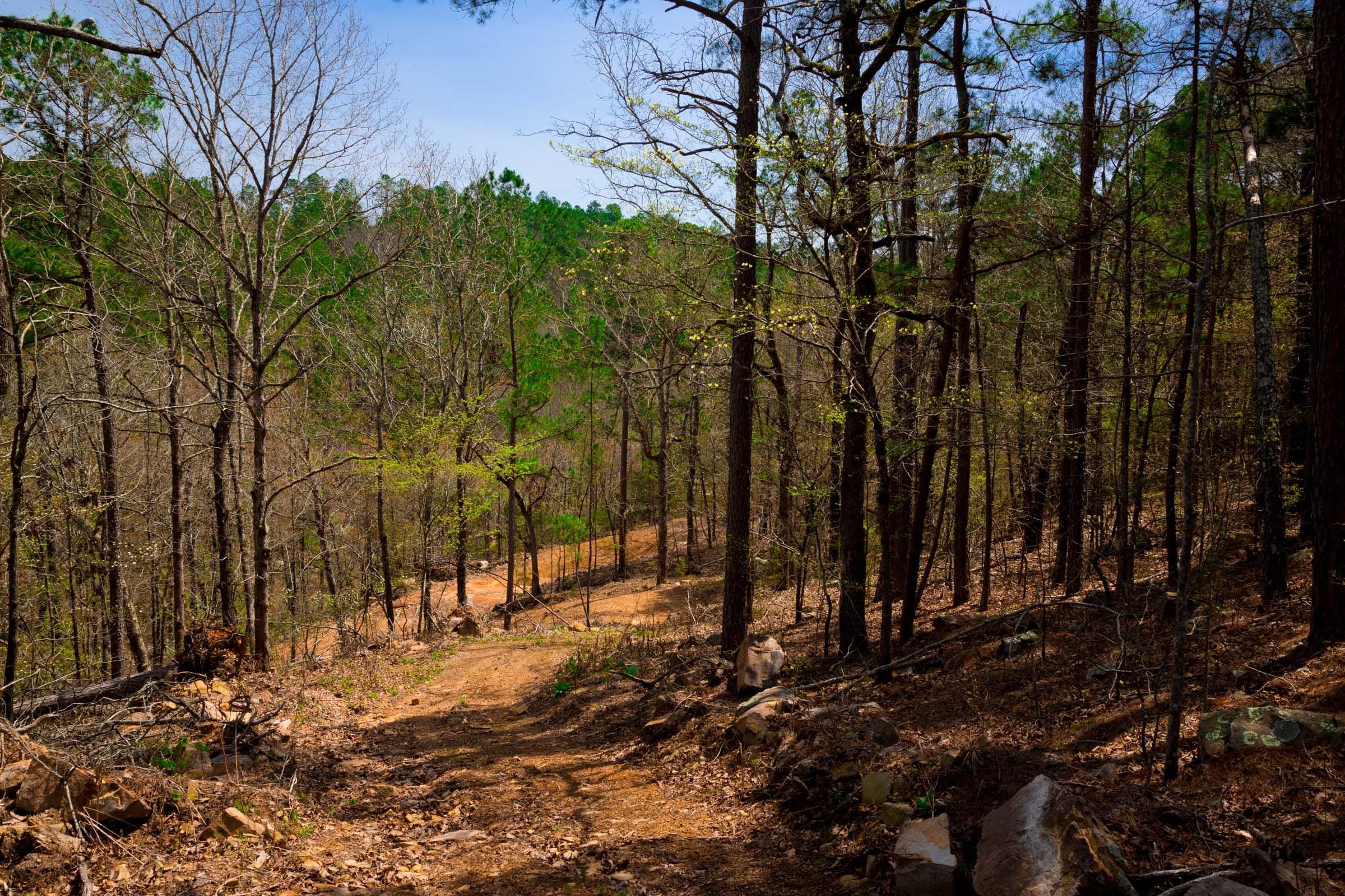 Stone Creek Phase II Tract 211 photo 13