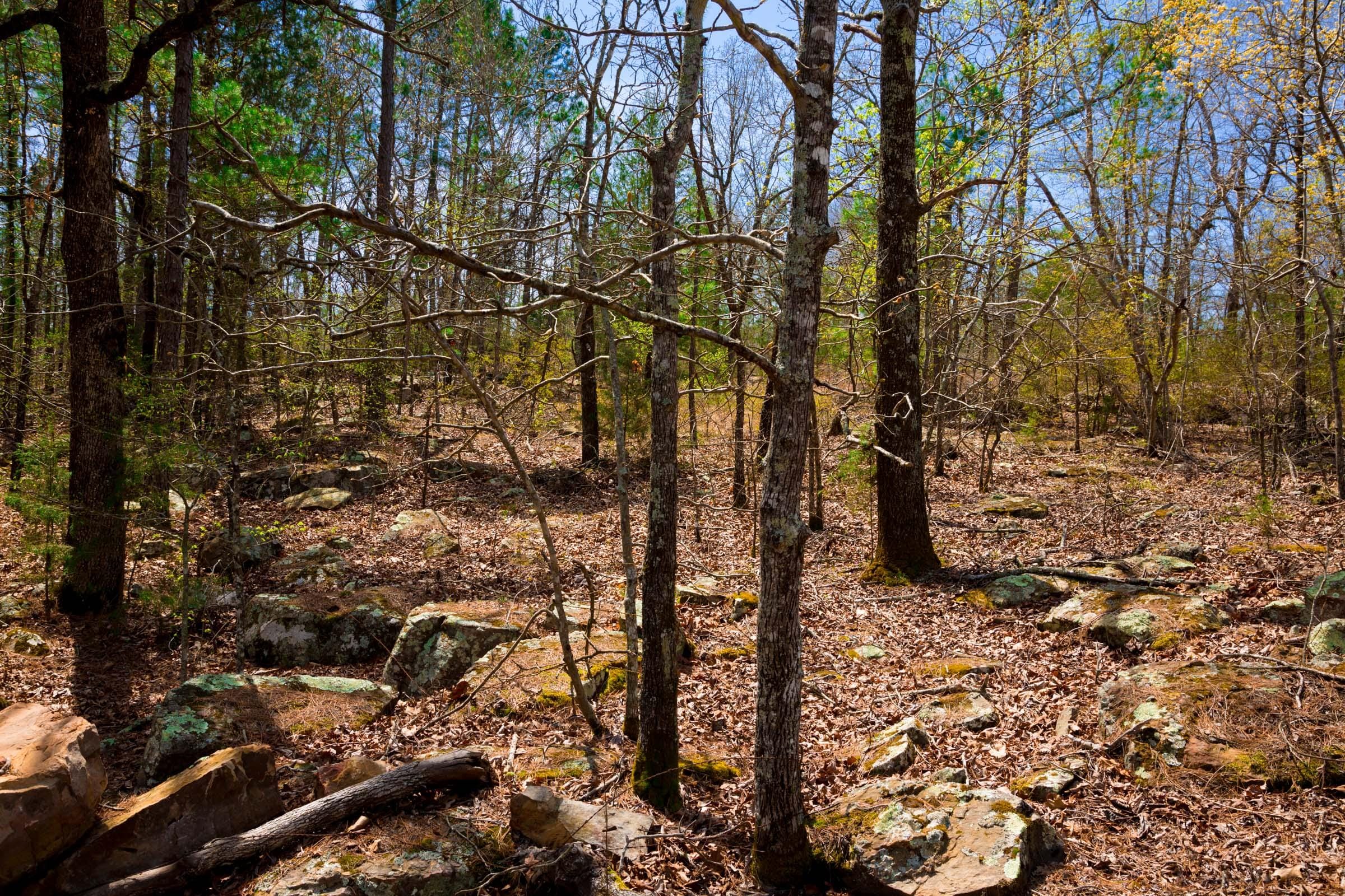 Stone Creek Phase II Tract 211 photo 14