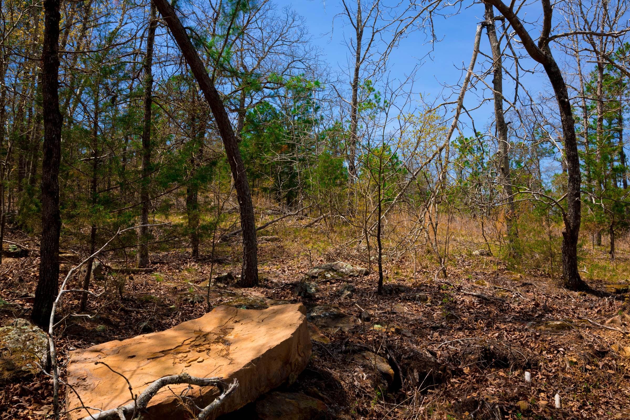 Stone Creek Phase II Tract 211 photo 15