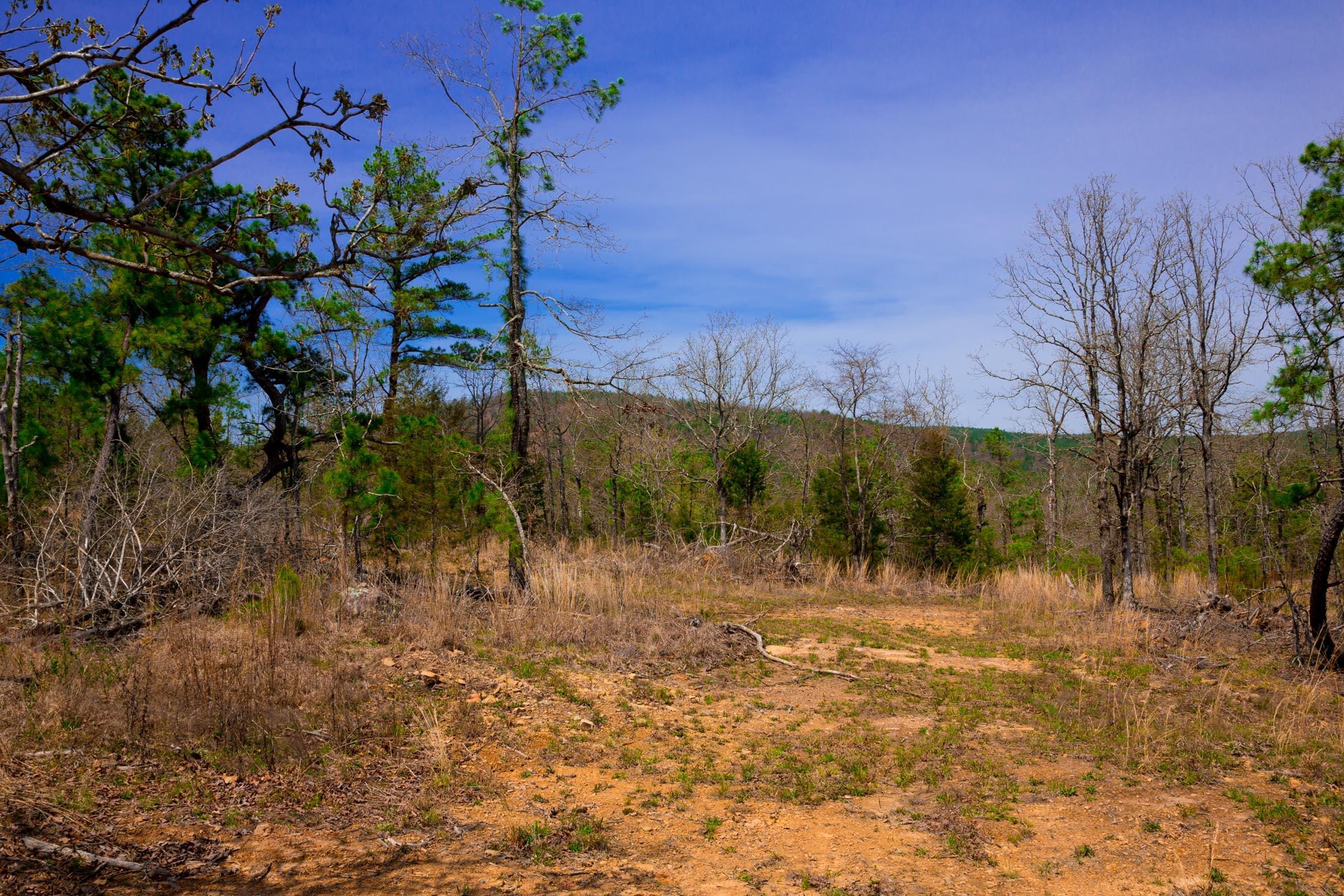 Stone Creek Phase II Tract 211 photo 16