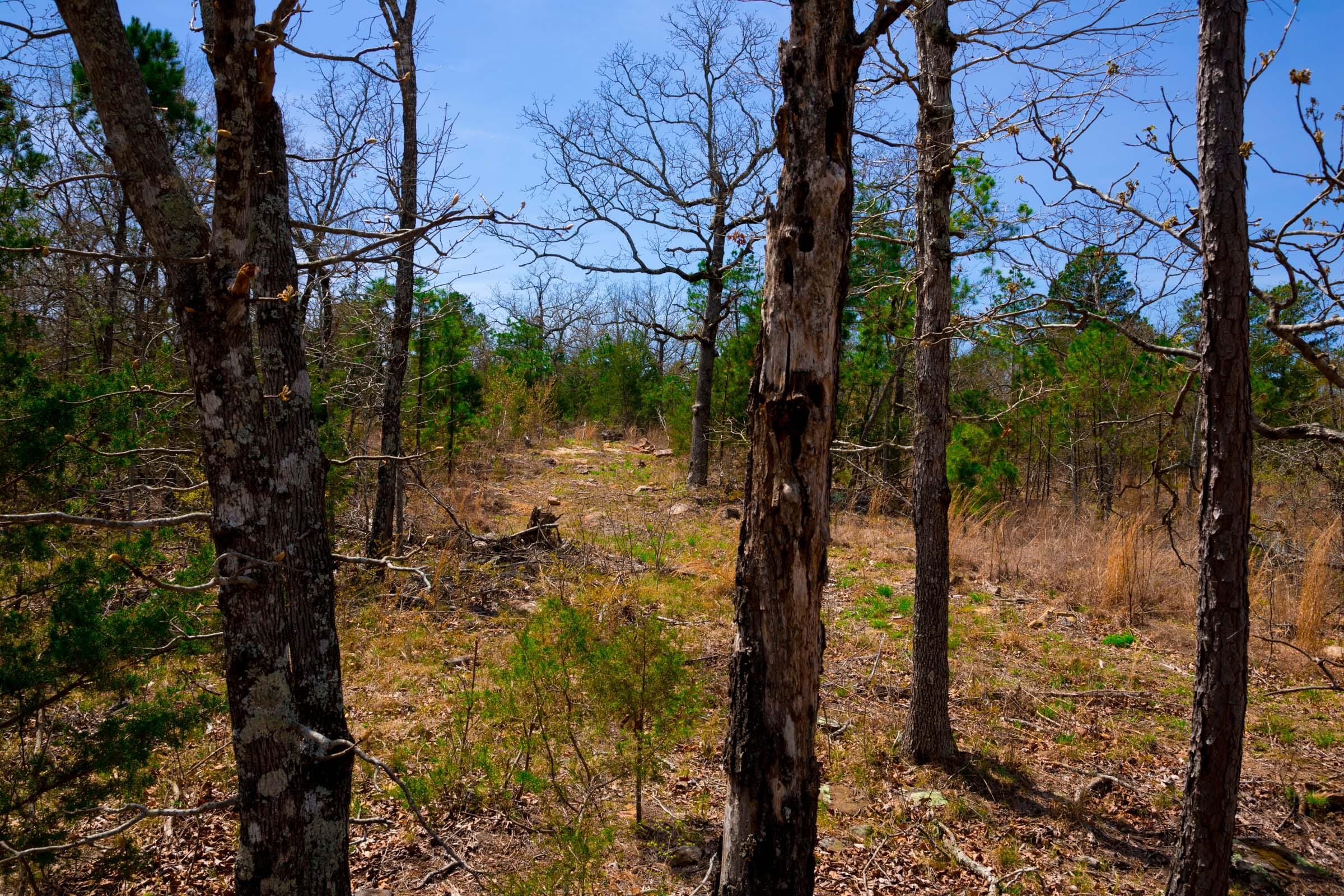 Stone Creek Phase II Tract 211 photo 17