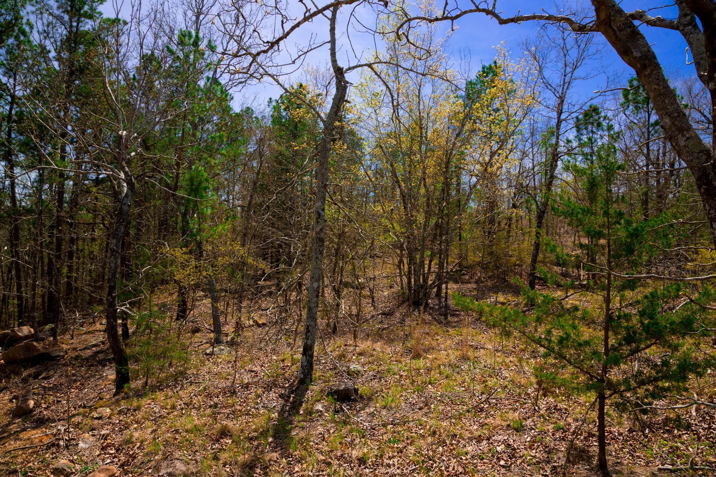 Stone Creek Phase II Tract 211 photo 18
