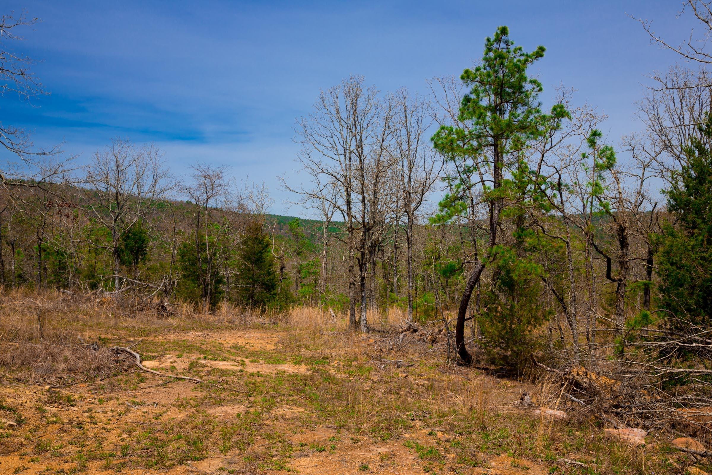 Stone Creek Phase II Tract 211 photo 1