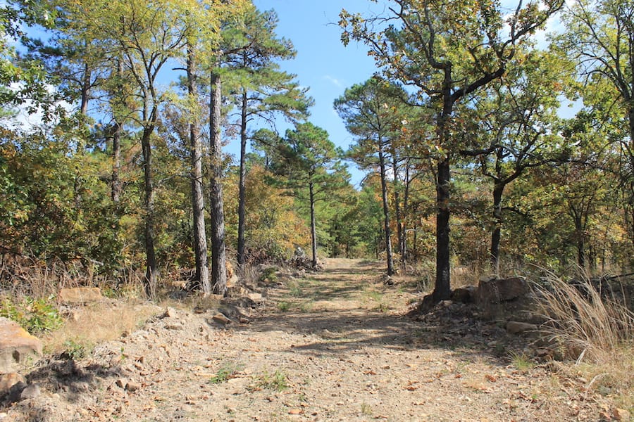 Indian Ridge – Phase III Tract 104 photo 2