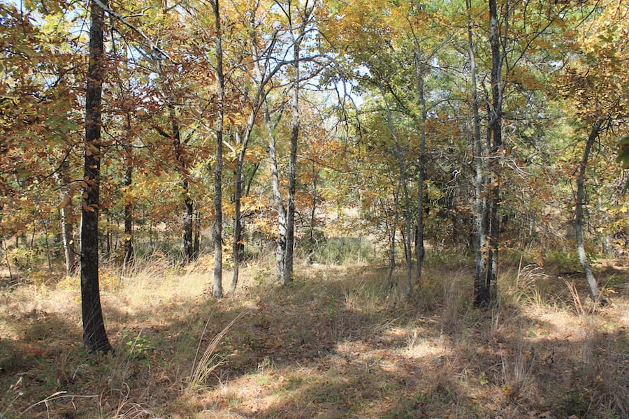 Indian Ridge – Phase III Tract 104 photo 3