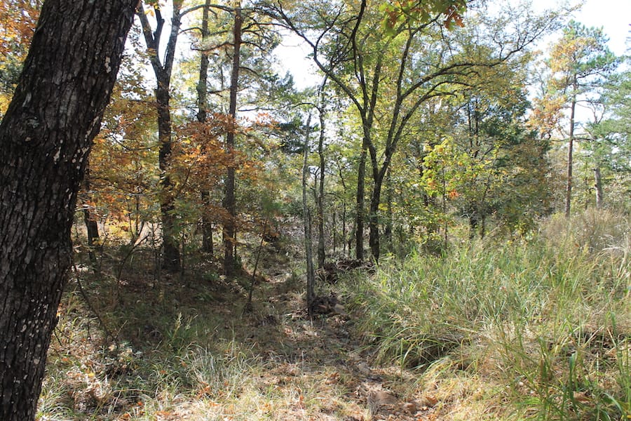Indian Ridge – Phase III Tract 104 photo 4