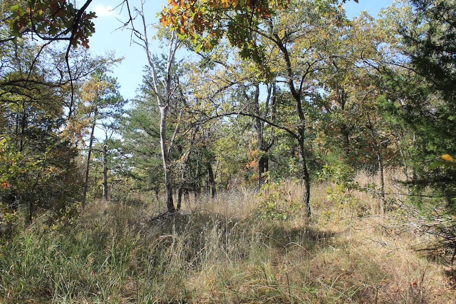 Indian Ridge – Phase III Tract 104 photo 5