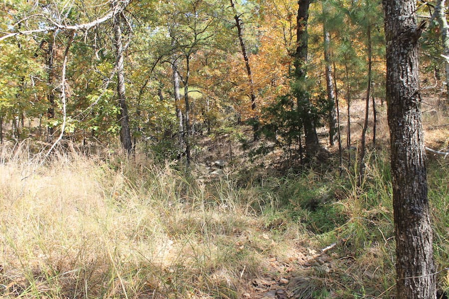 Indian Ridge – Phase III Tract 104 photo 6