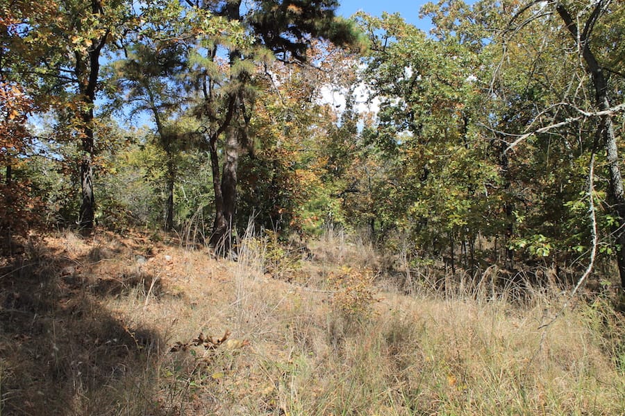 Indian Ridge – Phase III Tract 104 photo 7