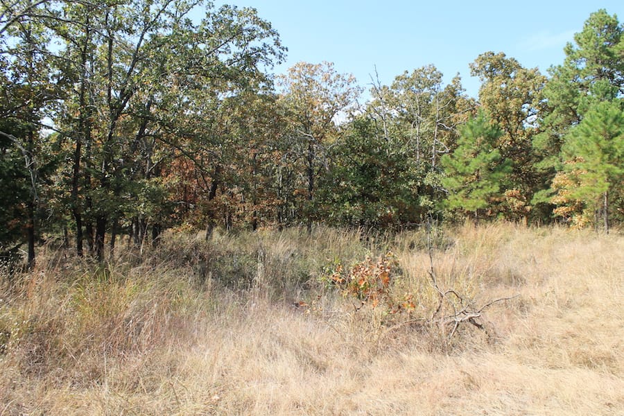 Indian Ridge – Phase III Tract 104 photo 8