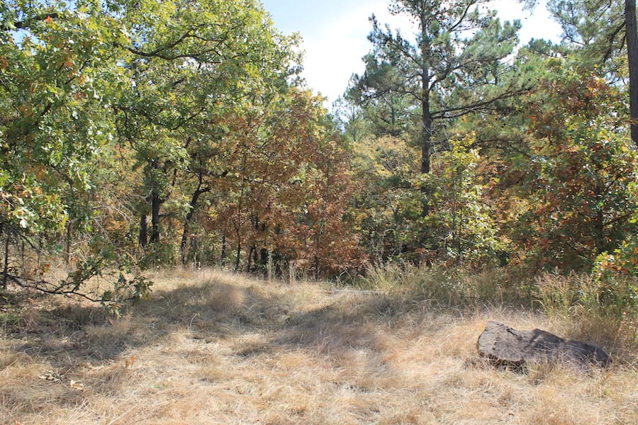 Indian Ridge – Phase III Tract 104 photo 9