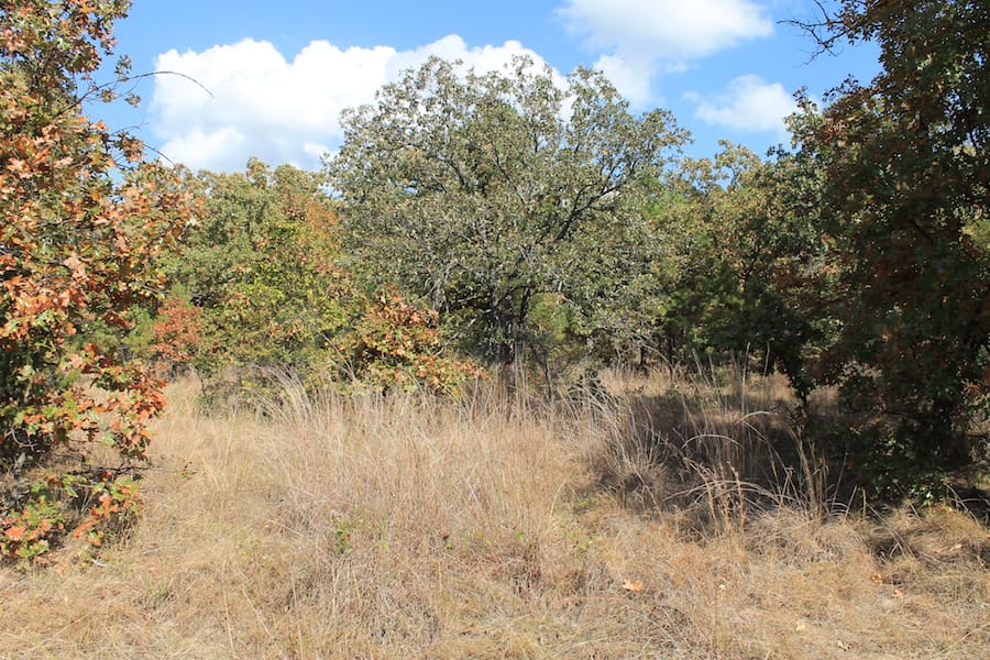 Indian Ridge – Phase III Tract 104 photo 10