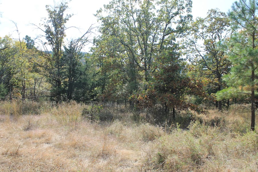 Indian Ridge – Phase III Tract 104 photo 11