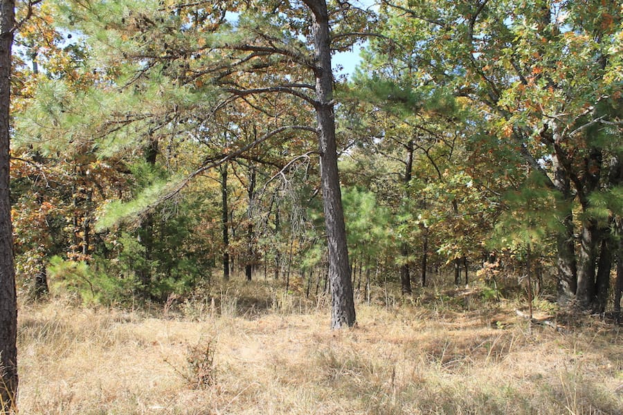 Indian Ridge – Phase III Tract 104 photo 12