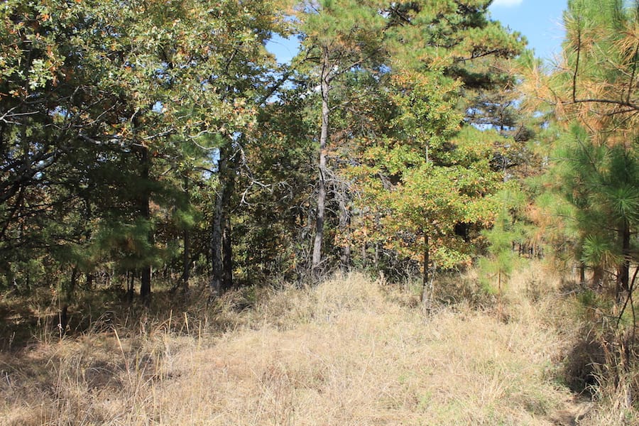 Indian Ridge – Phase III Tract 104 photo 13