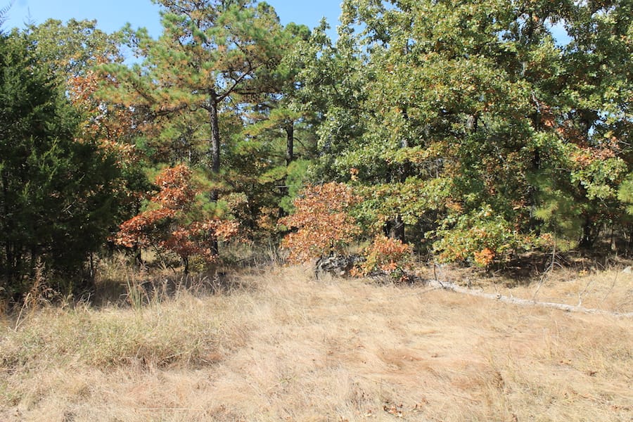 Indian Ridge – Phase III Tract 104 photo 14