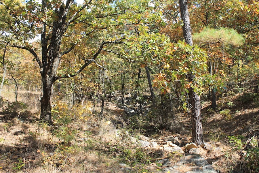 Indian Ridge – Phase III Tract 104 photo 15