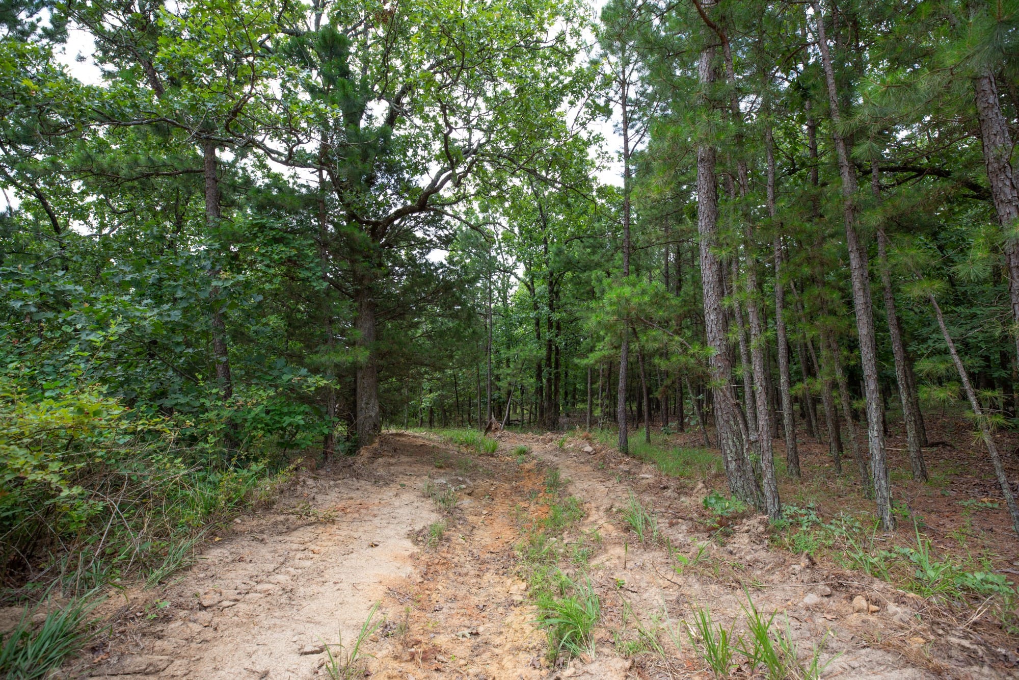 Eagle’s Nest Tract 62 photo 5