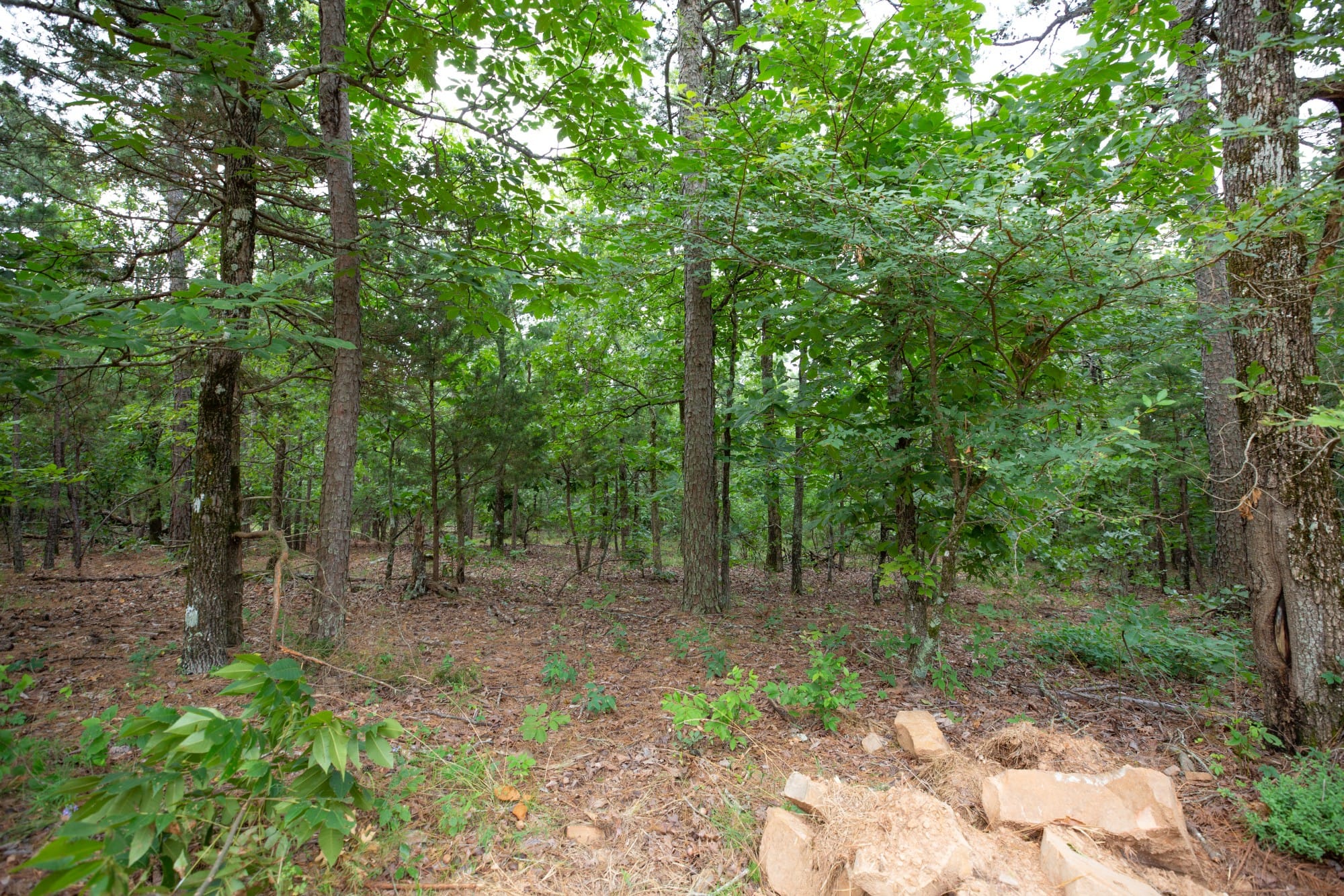 Eagle’s Nest Tract 62 photo 9