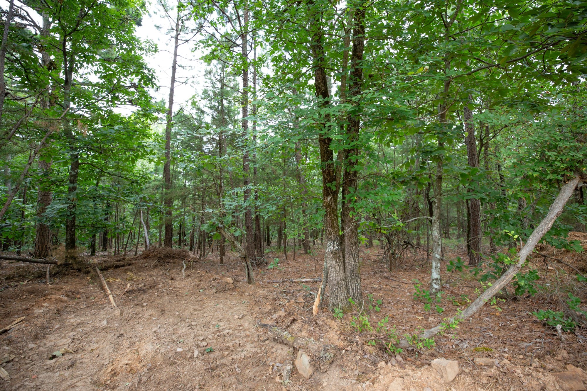 Eagle’s Nest Tract 62 photo 12