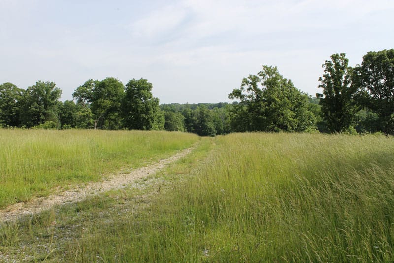 Cedar Ridge Ranch Tract 7 photo 1